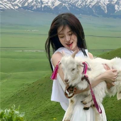 白马之子